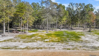N-2-D-4 Little Azalea Dr, Zachary, LA 70791