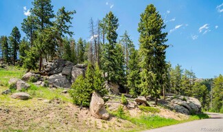 7442 Brook Forest Way, Evergreen, CO 80439