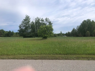 lot 36 Gravel Ridge Dr, Grant Township, MI 48622