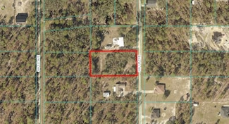 TBD LOT 10 SW 125th Terrace, Dunnellon, FL 34432