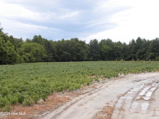 0 Conetoe Rd, Belvoir, NC 27834
