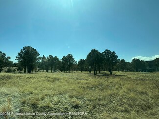 Lot27B Lincoln Hills Dr, Alto, NM 88312