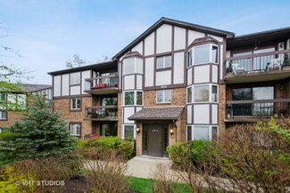 6816 Joliet Rd Unit 68161, Indian Head Park, IL 60525