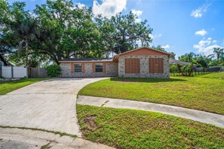 801 Chess Place, Seffner, FL 33584