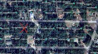 TBD NE 14 Place, Williston Highlands, FL 32696
