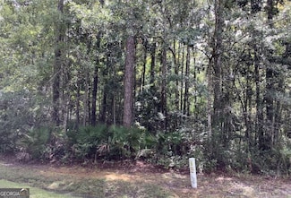 0 Canoe Run Unit LOT 91 10517402, Woodbine, GA 31569