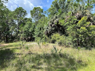 TBD Girard Rd, Aripeka, FL