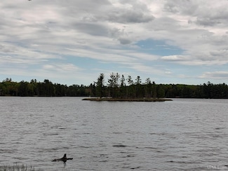 301A-301B Robinson Lake Rd, Iron River, MI 49935