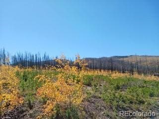 0 Ueda Place, Fort Garland, CO 81133