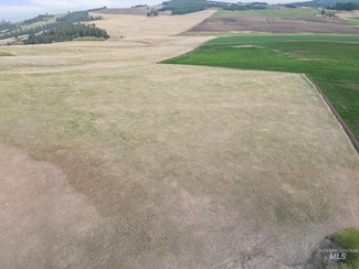 TBD Cummins Rd, Cottonwood, ID 83526