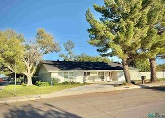 2804 N Rojo Dr, Hobbs, NM 88240