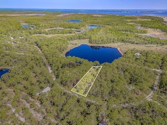 51 Lakeview Dr, Bald Point, FL 32346