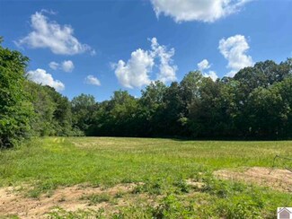 7875 Old Hinkleville Rd, West Paducah, KY 42086