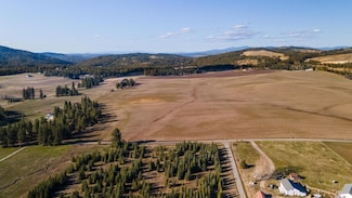 13303 E Gibbs Rd, Valleyford, WA 99023