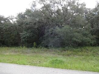289 N Highview Ave, Hernando, FL 34442