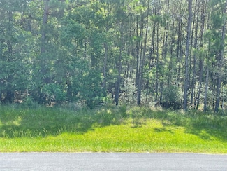 17729 N Equestrian Dr, Waller, TX 77484