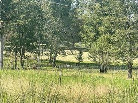 Lot 6 J P Geddie Rd, Ellisville, MS 39437