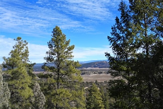 00 Gretchen Dr Cr 322 Unit D-1 Lot 40, Tierra Amarilla, NM 87575