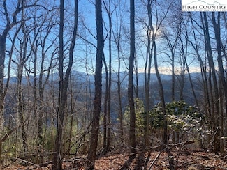 223 Rubin Walker Rd, Vilas, NC 28692