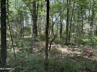 000 W Bennett Rd Country Rd, Pulaski, MS 39152