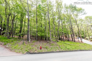 508 Charter Hills Rd, Beech Mountain, NC 28604