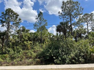 0 13th St SW Unit 223029557, Naples, FL 34117