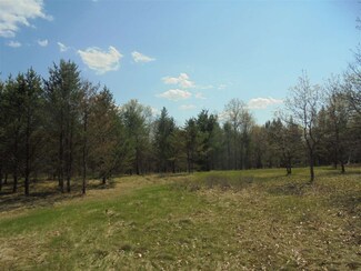 20 Ac E State St, Adams, WI 53910
