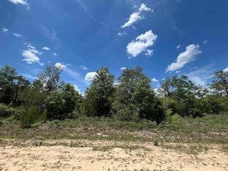 0 Magnolia Ln Unit 387526, Marianna, FL 32448