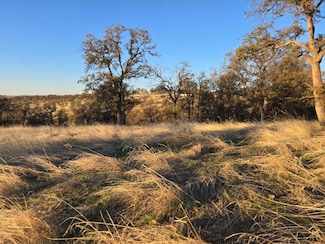 0 Avacado Rd Unit 224129821, Oroville, CA 95966