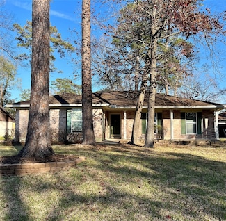 29022 Cherrywood Ln, Shenandoah, TX 77381