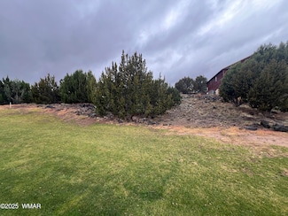 1917 Passage Dr, Show Low, AZ 85901