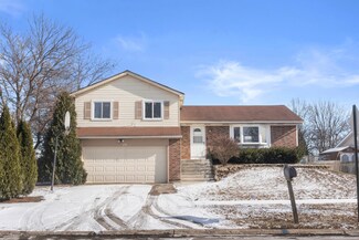 236 N Janes Ave, Bolingbrook, IL 60440
