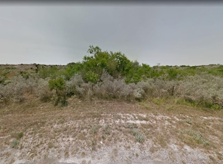 0 County Road 372, Sandia, TX 78383