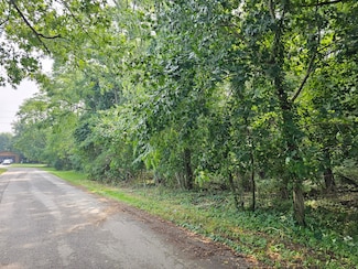 000 Short St, Lincoln Township, MI 49127