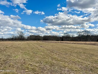 000010 Terrell Rd, Bentonia, MS 39040