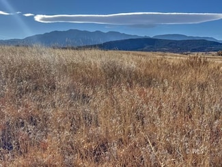 TBD-L309 Morgan, Colorado City, CO 81019