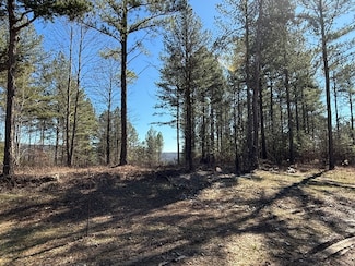 1375 Split Rail Way, Guild, TN 37340