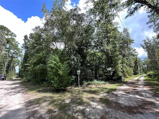 TBD NE 166th St, Fort Mc Coy, FL 32134