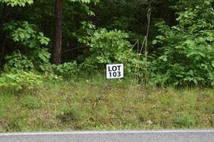 Lot 103 Halfmoon Shores Dr, Ten Mile, TN 37880