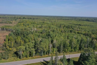 TBD Hwy 1, Bearville Township, MN 55723