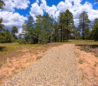 108 Allison Place, Pagosa Springs, CO 81147