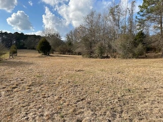 0 County Road 6 Unit 6 11431226, Glenwood, AL 36034