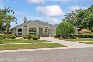 4351 Mallard Lake Dr, Spring Hill, FL 34609