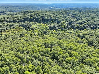 0 Prairie Hollow Rd, Buffalo Township, MO 65037