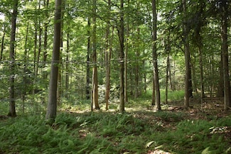 0 Foe Rd, Dayton, NY 14138