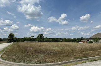 #13-5497 Anita Ave, Pleasant Hope, MO 65725