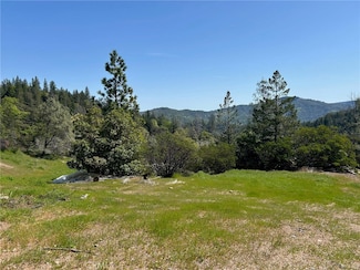 14607 Western Mine Rd, Loch Lomond, CA 95461