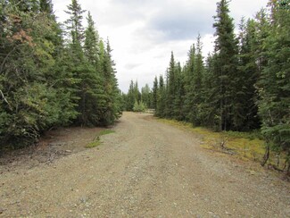 1530 Poplar Grove St, Deltana, AK 99737