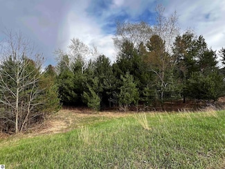 Lot 19 Cushman Ct Unit 19, Whitewater Township, MI 49690