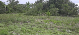 0 Park Ave Unit MFRTB8396102, Indian Lake Est, FL 33855